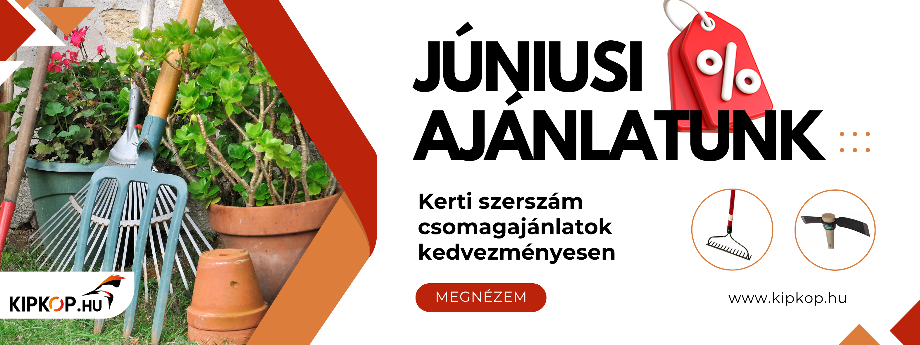 juniusiszettakcio