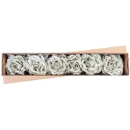 MagicHome virág, bazsarózsa levéllel, világoszöld, szár, virágméret: 12 cm, virághossz: 23 cm