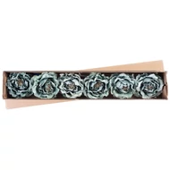 MagicHome virág, bazsarózsa, zöld, szár, virágméret: 11 cm, virághossz: 21 cm, 6db/csomag