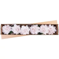 Virág pünkösdirózsa, fehér, szár, csom. 6 db