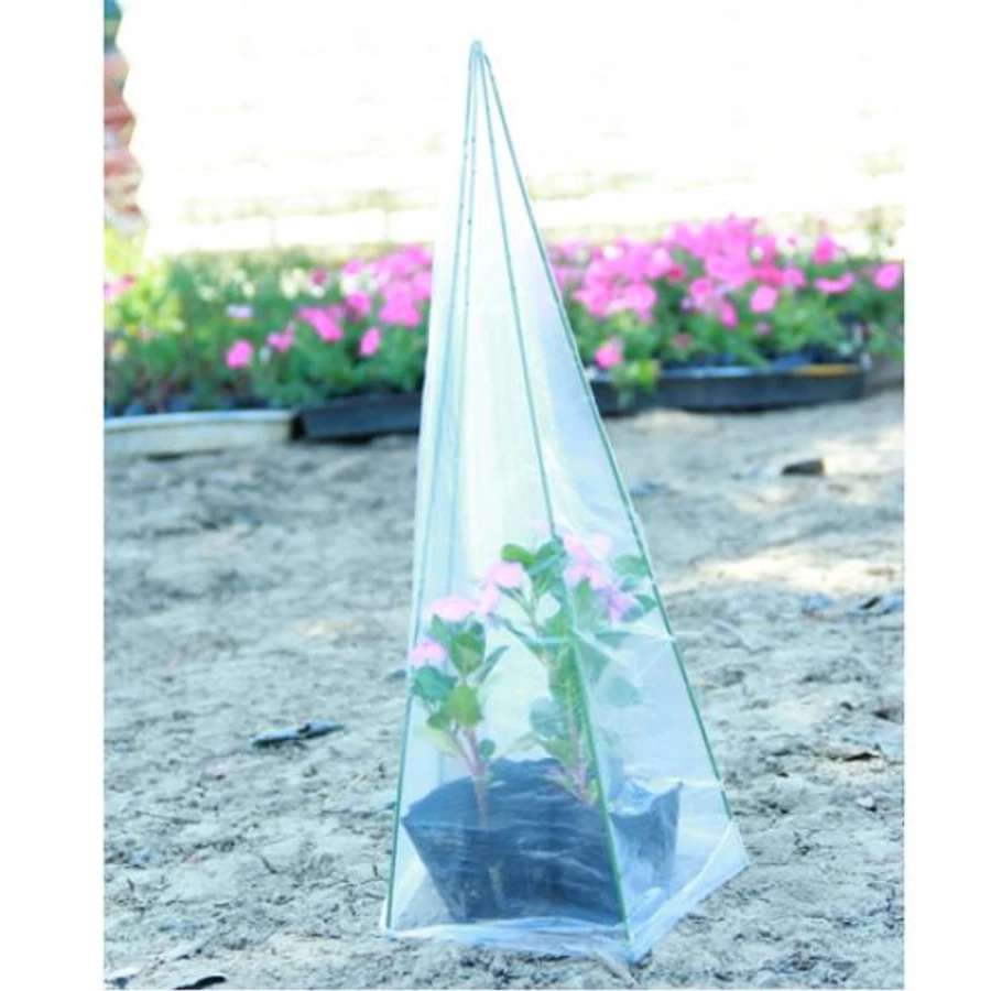 Kúpos mini üvegház