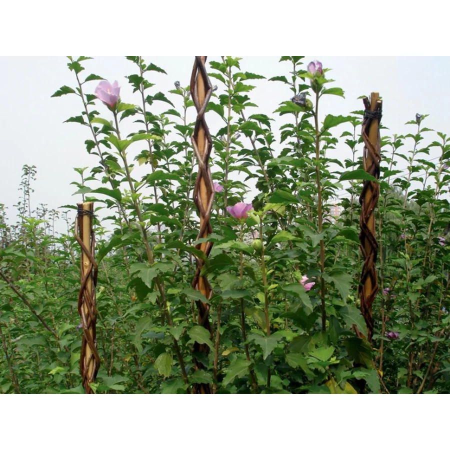 Növényfuttató pálca 130cm fonott