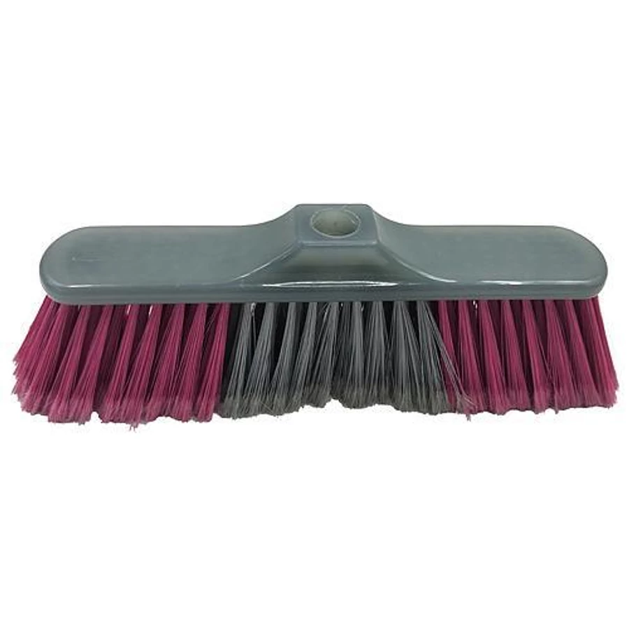 Partvis fej Cleonix PB092